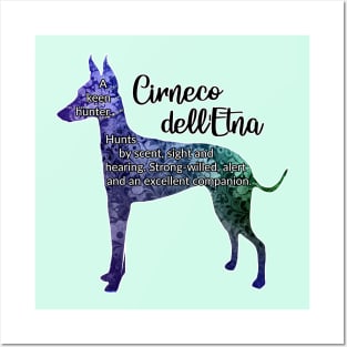 Cirneco dell'Etna Posters and Art